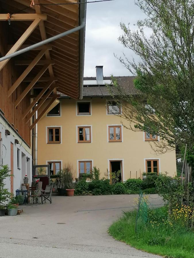 Naturhof Selbertinger Apartment