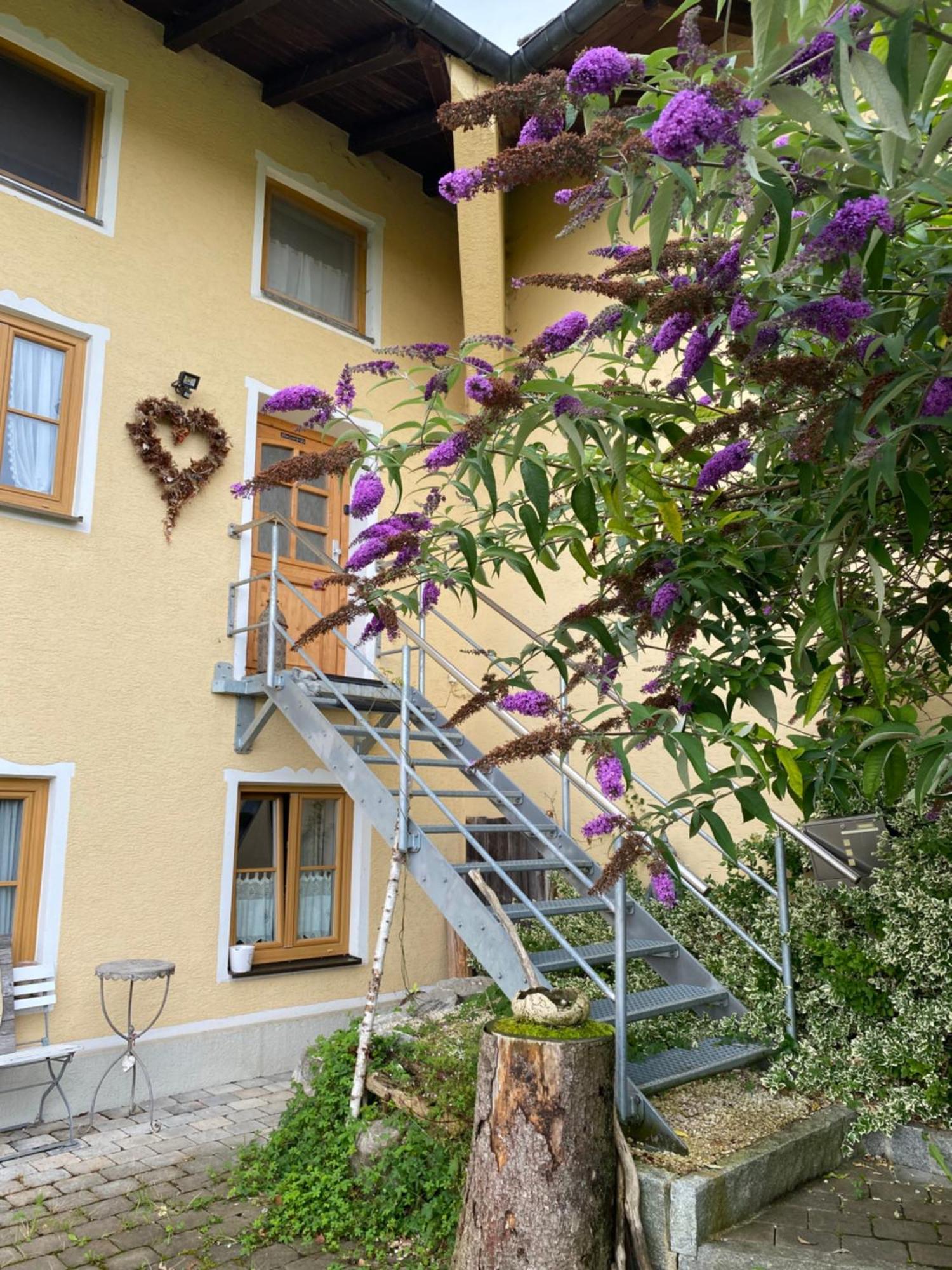 Apartment Naturhof Selbertinger *